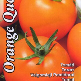 TOMAT  ORANGE QUEEN