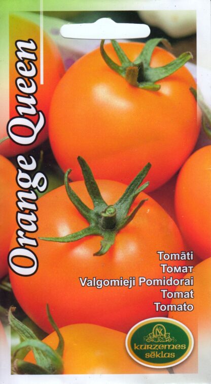 TOMAT  ORANGE QUEEN