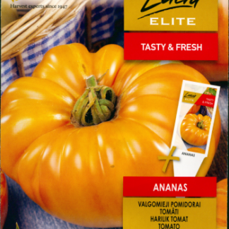 TOMAT  ANANAS