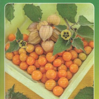 Füüsal- Ground Cherry