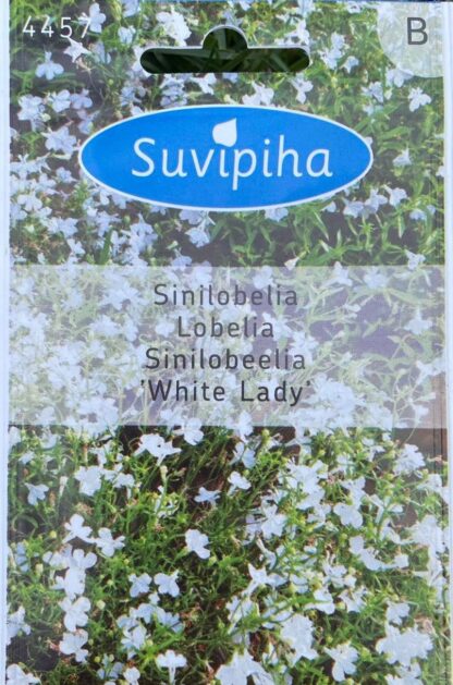 Lobelia Erinus Sinilobeelia White Lady