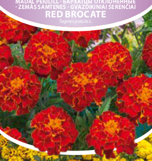 PEIULILL Tagetes Red Brocate