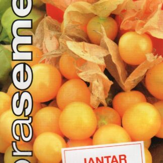 Tikkerfüüsal Jantar