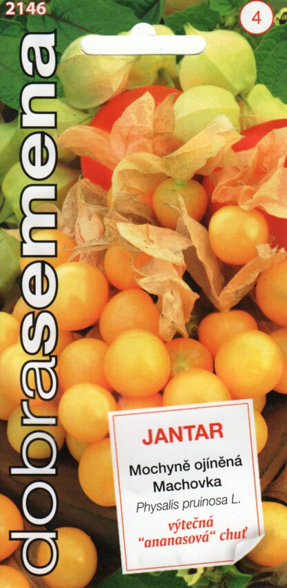 Tikkerfüüsal Jantar