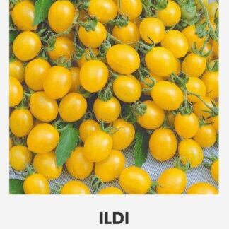 Tomat “Ildi”