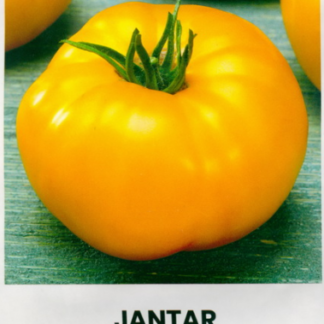 Tomat “Jantar”