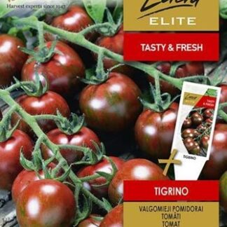 Tomat “Tigrino”