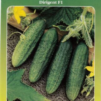 Avamaakurk “Dirigent” F1