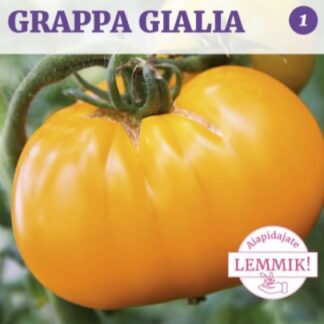 Lihatomat Brandywine Yellow Grappa Gialla